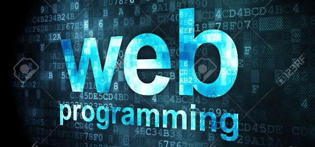 Web programming training course